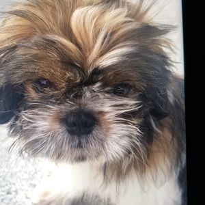 Meet your Posher, Ari